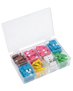 100 Piece Assorted Plug In Automotive Fuses