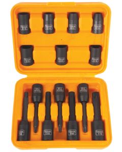 Hoteche 14 Piece 1/2 Inch Drive E-Socket and Torx Bit Set