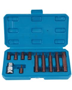 Toolco 11 Piece Spline Bit Set for 1/2 Inch Drivers