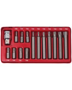15-Piece Torx Set with Metal Case